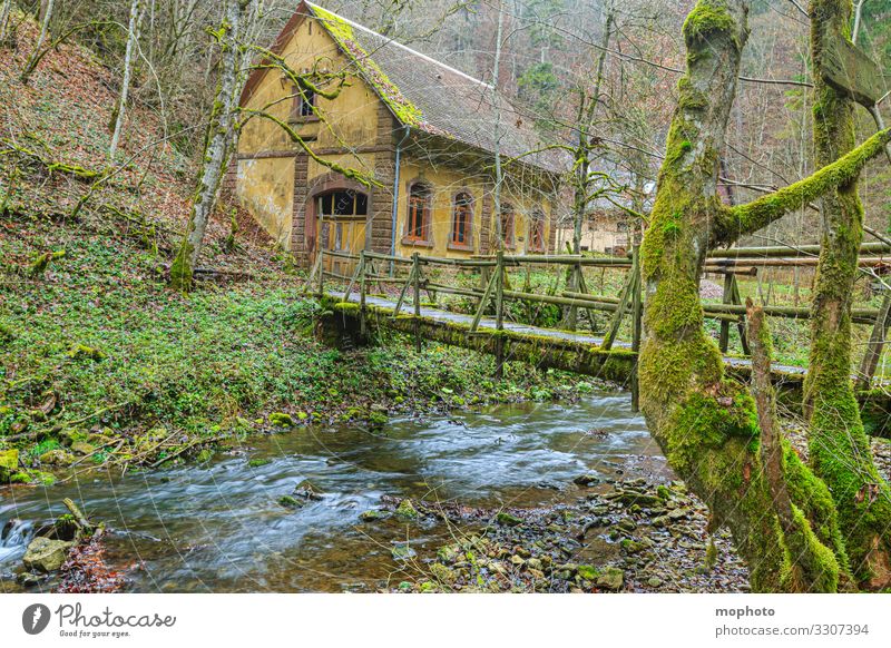 castle mill, nature friend house, Gauchach gorge Old built Landscape Nature tree leaves bridge burgmühle huts Germany out River Riverbed River course also