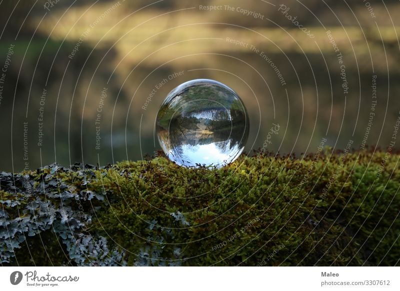 Nature through a transparent glass ball Ball Beautiful Blue Forest Lake Reflection Sky Sphere Transparent Banner Abstract Background picture Cold