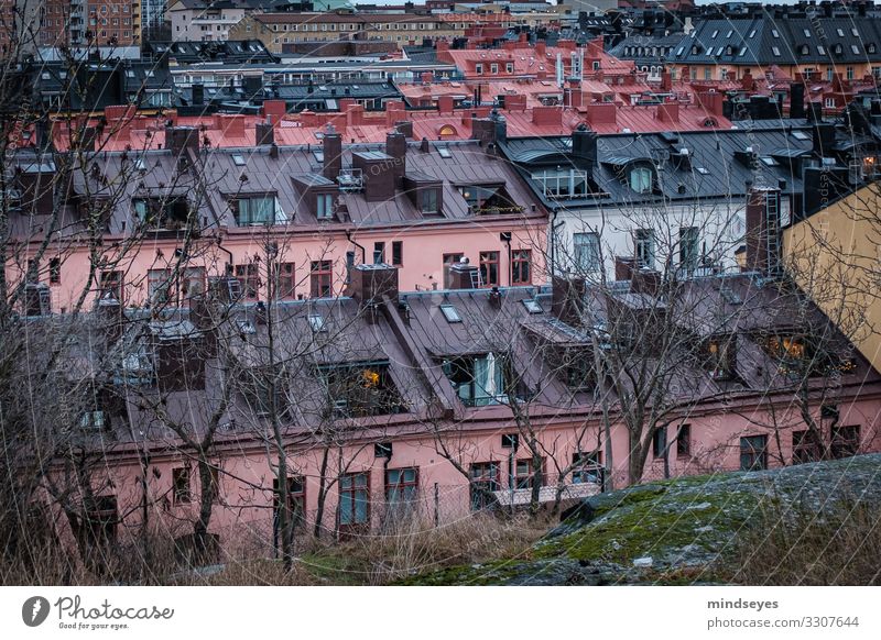 Above the rooftops of Stockholm Tourism City trip Winter House (Residential Structure) Facade Roof Vacation & Travel Living or residing Simple Together Historic