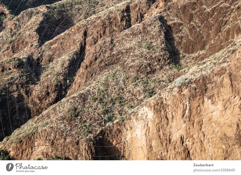 upward Vacation & Travel Mountain Nature Landscape Rock La Palma Canaries Hiking Brown Self-confident Respect Environment Steep Wall of rock Steep face Go up