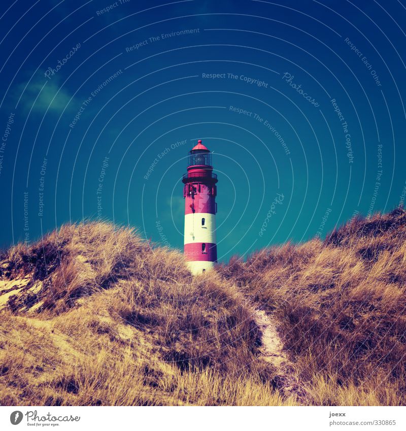 power saving mode Landscape Sky Summer Beautiful weather Grass Hill North Sea Lighthouse Old Large Tall Retro Blue Brown Red White Horizon Idyll Safety Amrum