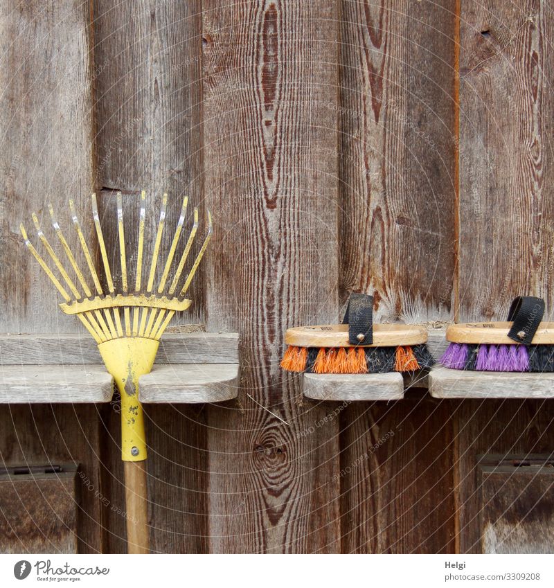 Cleaning tool for animals on a wooden wall Barn Wall (barrier) Wall (building) Brush Rake Rack Wood Hang Lie Wait Authentic Simple Uniqueness Brown Yellow