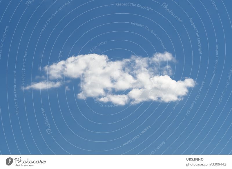 a white cloud against a blue sky Elements Air Sky Sky only Clouds Climate Weather Beautiful weather Movement Authentic Blue White Longing Wanderlust Loneliness