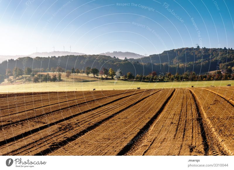 acre Agriculture Field Earth Sky Rural Brown Harvest Landscape Nature Beautiful weather Summer Arable land Organic farming Environment Hill Plowed