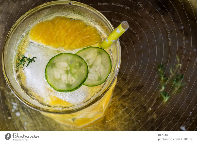 Refreshing drink in a glass with orange, cucumber and thyme Orange Herbs and spices Cucumber Thyme Ice cube Organic produce Vegetarian diet Diet Beverage