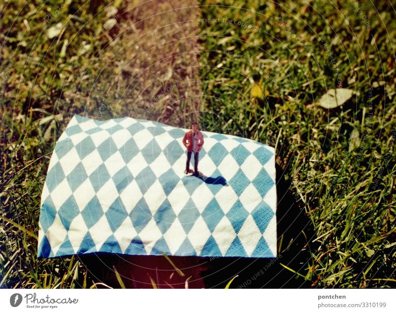 Male figure in a suit standing on a napkin with a Bavarian diamond pattern in the grass Human being Masculine 1 Stand Kitsch Flag Meadow Grass Analog Summer Sun