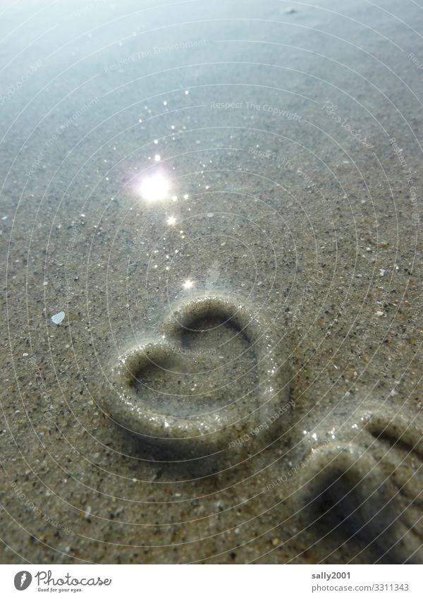 Love declaration of a lugworm... Sand Coast Beach North Sea Lugworms Sign Heart Illuminate Exceptional Happy Uniqueness Maritime Natural Love of animals