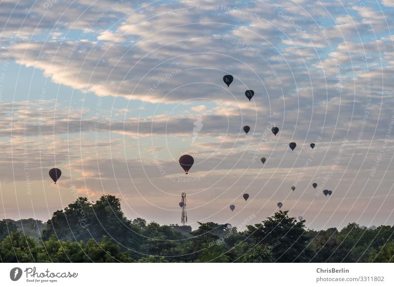 Balloons in the morning Adventure Far-off places Freedom Balloon flight Landscape Sky Clouds Climate Beautiful weather Hot Air Balloon Esthetic Contentment