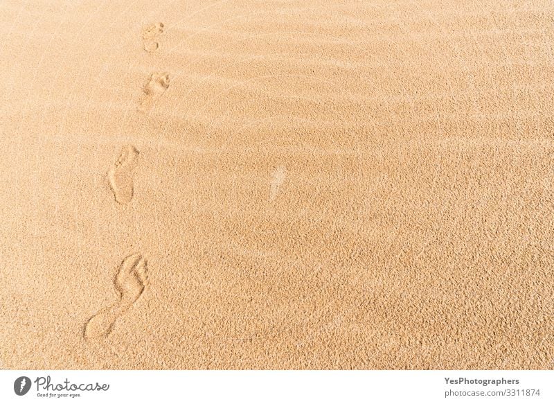Footprints on sand. Walking on the beach. Wandering in desert Relaxation Vacation & Travel Trip Freedom Summer Beach Hiking Feet Nature Sand Climate change