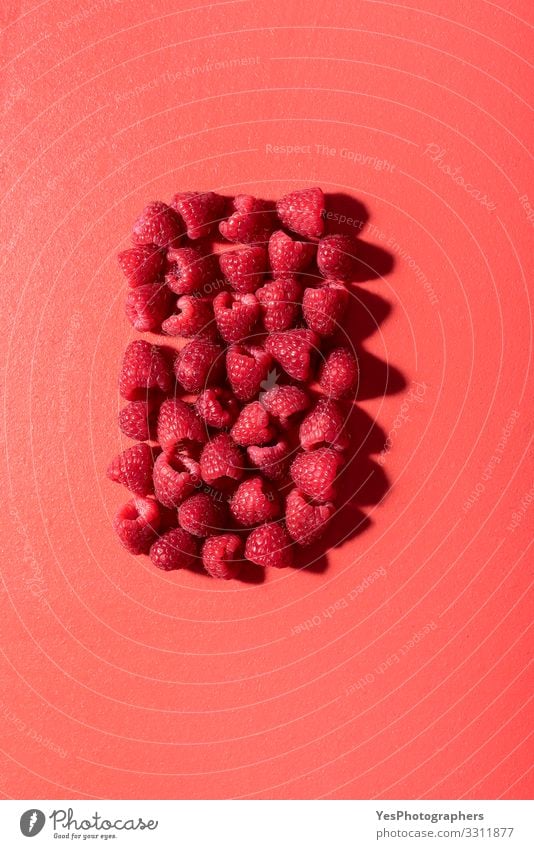 Fresh raspberries on a red table. Red berries in sunlight Fruit Healthy Eating above view background Berries coral color diet food fresh fruits
