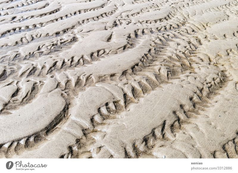 Pattern with jagged edges in the sand Environment Nature Landscape Earth Sand Climate Waves Coast North Sea Line Brown Prongs Low tide Background picture xenias