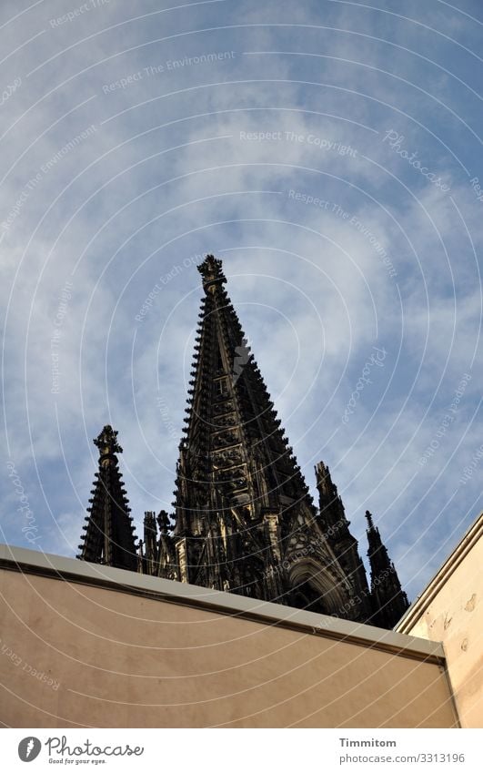 View upwards City trip Sky Beautiful weather Cologne Manmade structures Building Architecture Tourist Attraction Landmark Monument Cologne Cathedral Stone