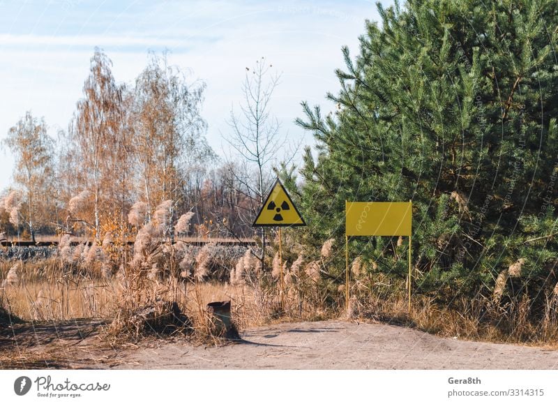 sign of radioactive contamination in a forest in Chernobyl Plate Vacation & Travel Tourism Trip Nature Landscape Plant Sky Clouds Autumn Tree Grass Forest