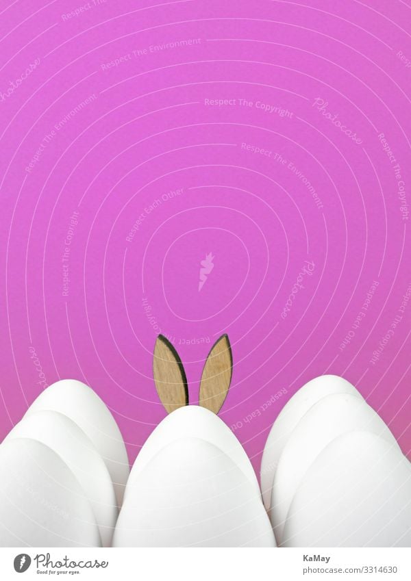 Hidden Design Decoration Feasts & Celebrations Easter Spring Hare & Rabbit & Bunny Hare ears Ear Funny Cute Pink White Loneliness Tradition Innocent
