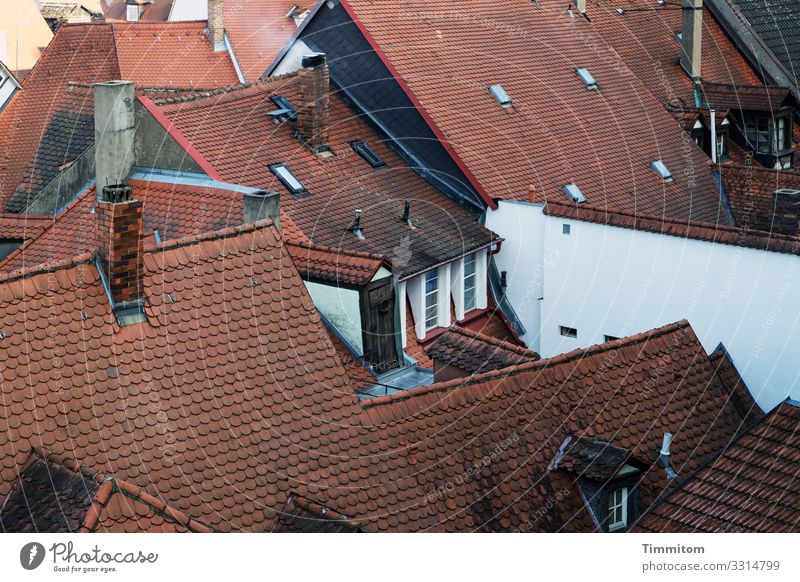above the roofs Bamberg Old town House (Residential Structure) Window Roof Eaves Chimney Brown White Emotions Narrow Versatile Colour photo Exterior shot