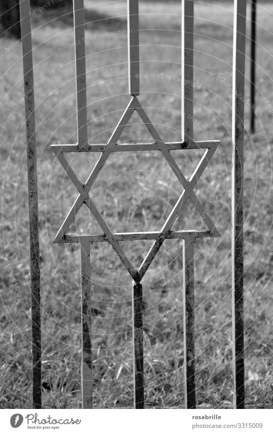 Star of David in door grille to cemetery | old Goal Metal Cemetery Cemetery door Fence Grating Jewish cemetery Monochrome Grass Meadow symbol religion