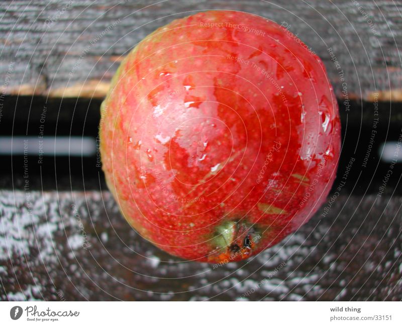 appel on terras Healthy appeal fruit appelboom buiten round