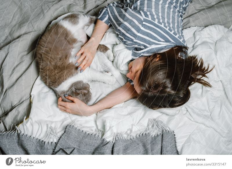 woman lying on a bed with her british breed cat adopt Delightful Animal care Cat Cute Domestic Soft Fluffy Fur coat Hand Happy Home Kitten Small Love Mammal Pet