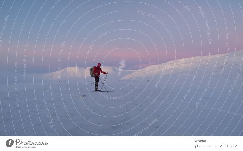 Skier with crossed poles stands in front of blue-pink colored evening mountain landscape with white shining peaks Vacation & Travel Adventure Expedition