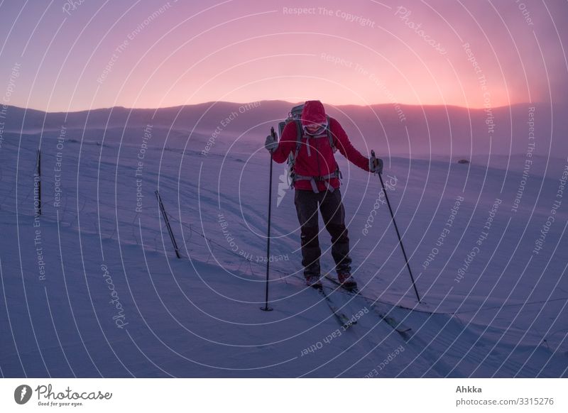 Crossing a fence by a skier with red jacket, lowered gaze and iced hood in a snowy mountain landscape in the backlight shines a red evening sky Expedition