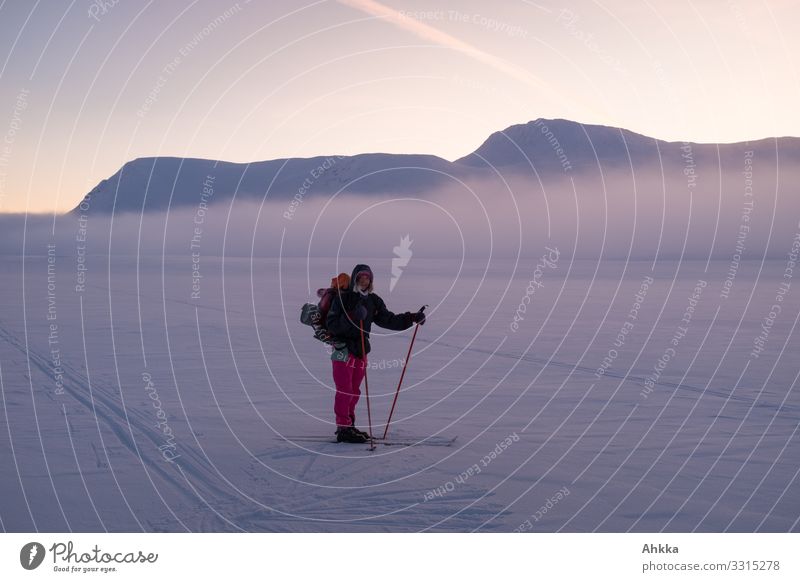 Young woman on skis in pink pants in icy blue winter landscape at the level of clouds, two ski tracks and snow covered peaks Expedition Winter vacation