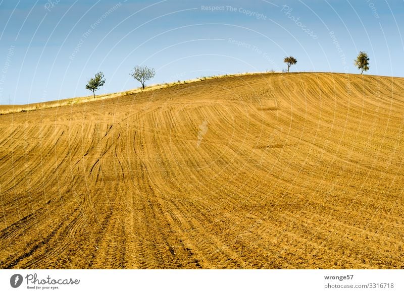 Bördeacker | Tractor tracks on a harvested hilly field in the Börde acre Edge Magdeburg Börde tractor tracks Hill Hilly landscape undulating field Exterior shot