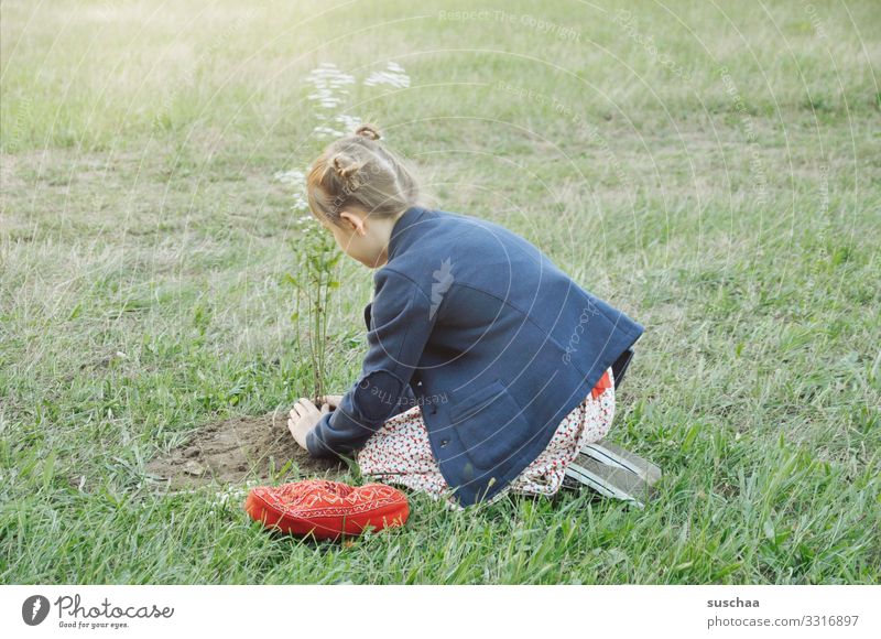 girl plants a flower tree in the middle of a meadow Child Girl Grass Meadow Flower Meadow flower bury Gardening Nature Summer Plant Spring Exterior shot
