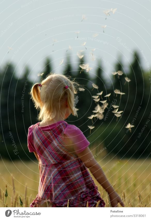 Fly!!!!! Human being Feminine Child Girl Infancy Head Hair and hairstyles 1 3 - 8 years Environment Nature Landscape Plant Summer Beautiful weather Tree Grass