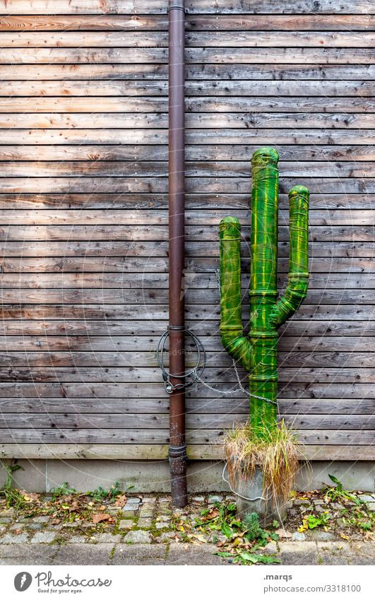 cactus Wooden wall Rain gutter Cactus Metal artificial Wall (building) green Brown