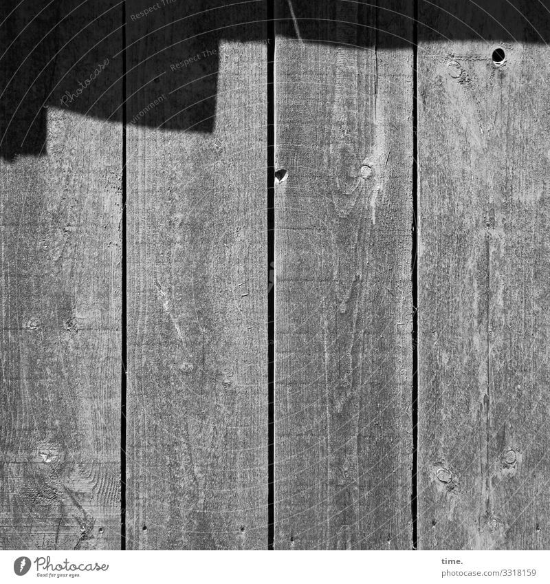 Tales from the fence (72) Wall (building) Surface Old building Trashy Swing lines wood Fence crack fissure sunny Shadow Hollow Wood grain Gray Moody Inspiration