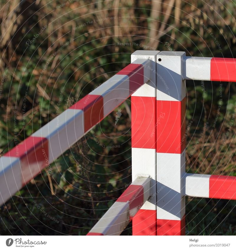 Blocking off a danger zone at a level crossing Bushes Traffic infrastructure Lanes & trails Railroad crossing Metal Stand Authentic Exceptional Sharp-edged