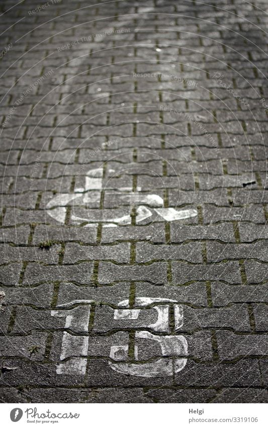 Wheelchair and number 13 on cobblestones Parking lot Tracks Stone Sign Digits and numbers Communicate Simple Uniqueness Gray White Safety Humanity Help