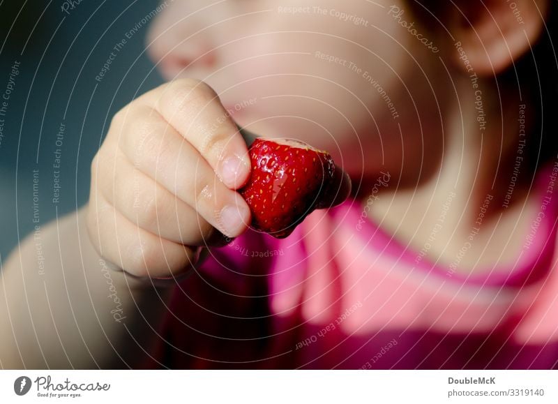 Child holds strawberry in his hand Food fruit Strawberry Human being girl Boy (child) Fingers 1 1 - 3 years Toddler Touch To hold on Fresh Healthy Delicious
