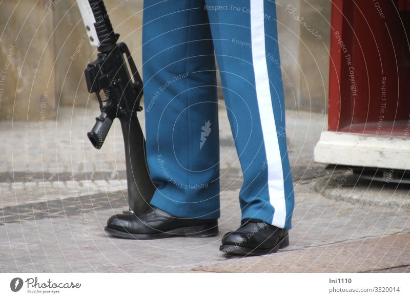 on duty Profession Team Masculine Man Adults Legs 1 Human being Copenhagen Denmark Tourist Attraction Monument Blue Red White Protection Rifle Weapon Uniform