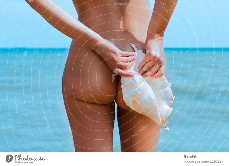 female buttocks with a large seashell against the blue sea Body Skin Summer Beach Ocean Waves Financial institution Woman Adults Hand Fingers Bottom Sky Coast