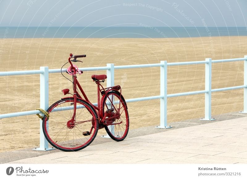 red wheel Lifestyle Vacation & Travel Trip Beach Cycling Bicycle Landscape Coast Means of transport Blue Red Freedom Sustainability Environmental protection