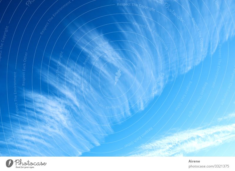 Weather Forecast | Written Elements Sky only Clouds Beautiful weather Bright Blue White Friendliness Sun Stripe Line (row of words) Pattern Predict Meaning