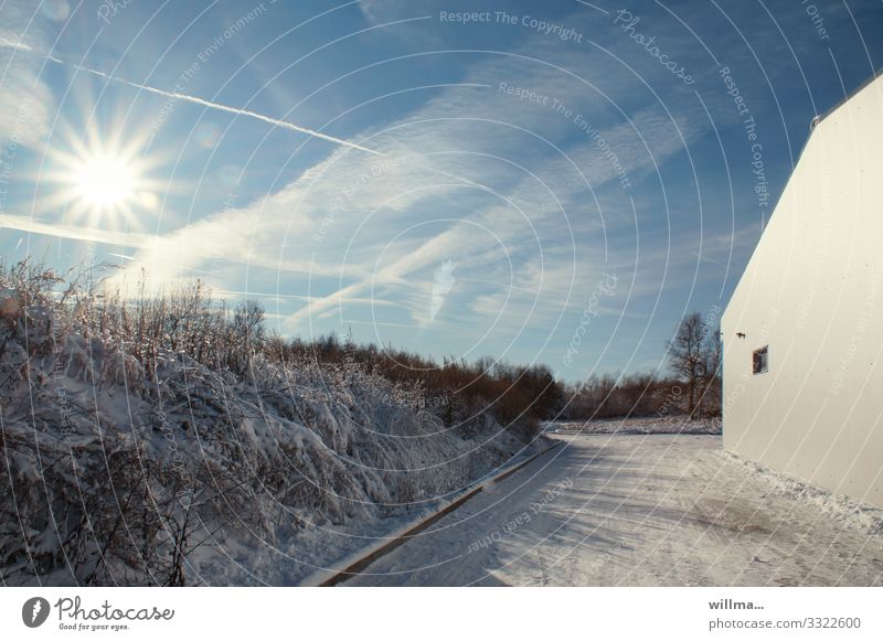 Sunny winter landscape with house wall Winter Snow Street Cold Sunbeam Vapor trail House (Residential Structure) Beautiful weather Bushes Wall (building)