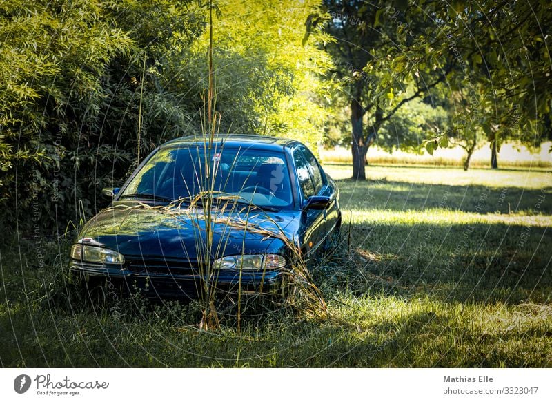 Old car on a greenfield site Landscape Plant tree Grass Car Historic Broken Retro Trashy Variable Senior citizen Logistics old car Rust Spoiled Meadow Garden