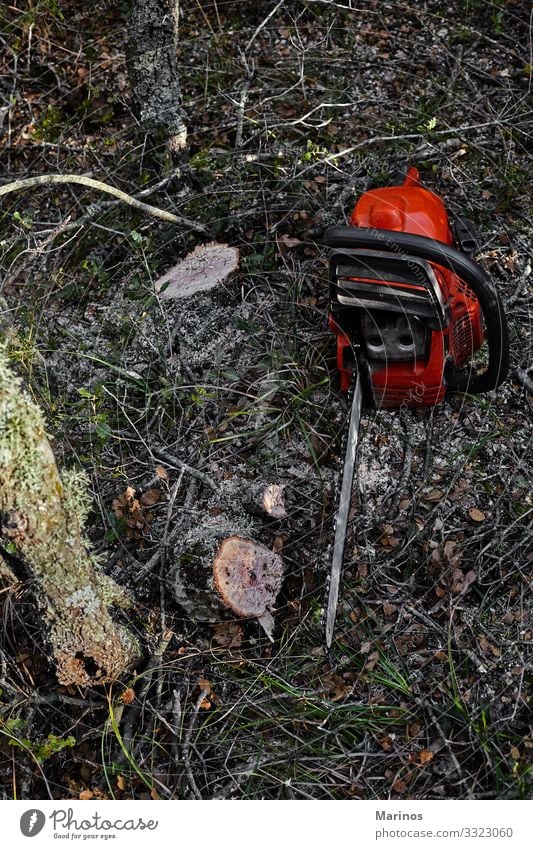 Electrical chainsaw in the forest. Work and employment Industry Tool Saw Technology Man Adults Nature Tree Forest Workwear Wood Might Chainsaw cutting power