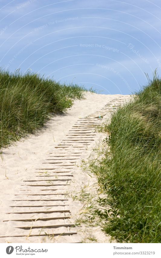 walking aid Vacation & Travel Environment Nature Landscape Sand Sky Beautiful weather Plant North Sea Beach dune Marram grass Denmark Rope ladder Wood Plastic