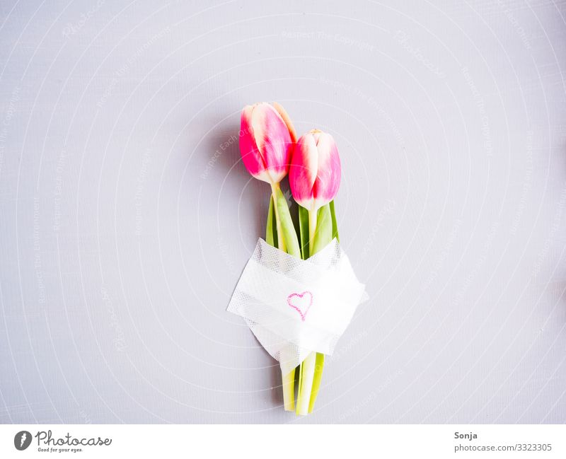 Two pink tulips with a patch and a heart Valentine's Day Mother's Day Wedding Birthday Flower Tulip Leaf Blossom Sign Heart Blossoming Fragrance Exceptional