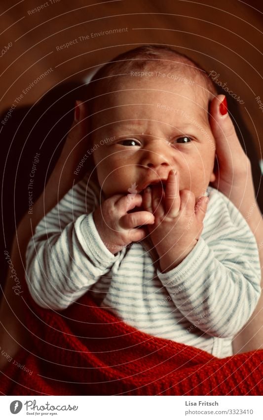 NEUGEBORENES - MIDDLE FINGER SHOWING - HANDS in the mouth Health care Parenting Kindergarten Child Baby Infancy 1 Human being 0 - 12 months Observe Touch