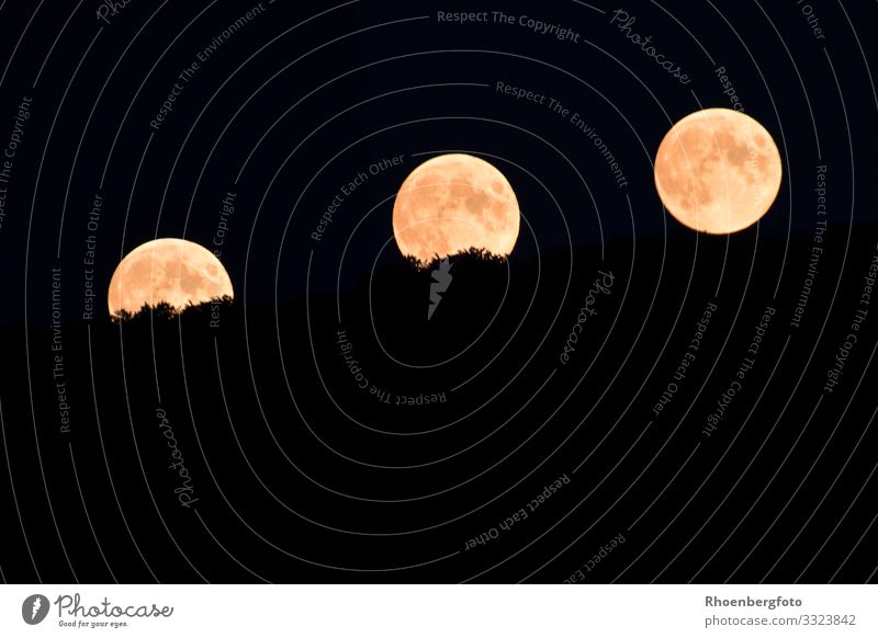 Rising moon in the night sky Elements Air Night sky Stars Horizon Moon Climate Climate change Weather Globe Dark Far-off places Large Infinity Tall Natural