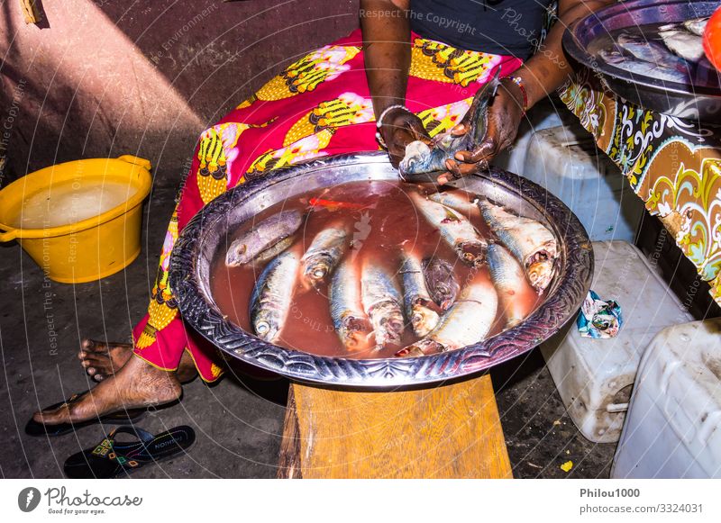 Gambian woman uses her hands to empty and clean fish Far-off places Kitchen Hand Nature Earth Gloves Wood Fresh Small Afternoon animals background banjul Blood
