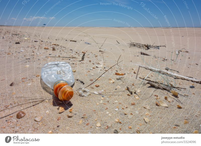 Plastic bottle on the beach sand. activism Awareness Beach Bottle Coast collect Education Environment Free Future micro plastic movement Nature Ocean Package