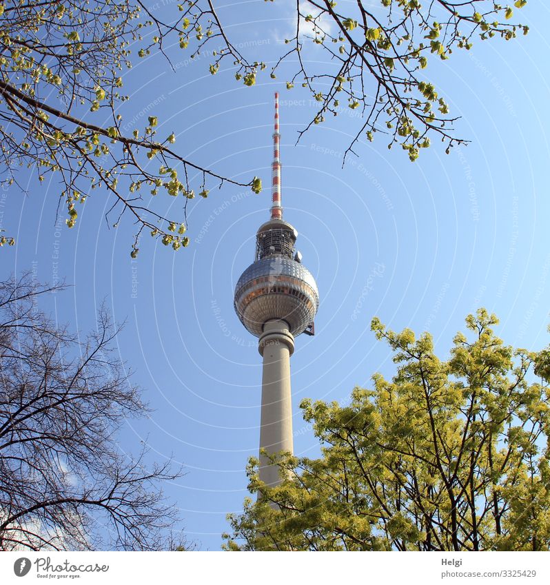the television tower Berlin in front of a blue sky, framed by branches Environment Nature Plant Spring Tree Leaf Tower Manmade structures Building Architecture