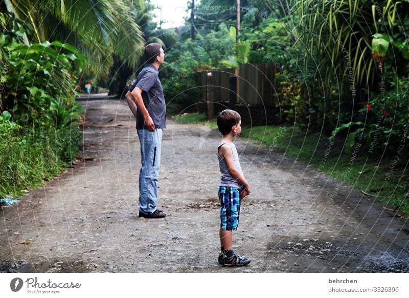 marvelous cahuita Caribbean Vacation & Travel in common Together Family Adventure Trust Colour photo Wanderlust Father Son Freedom Child Parents