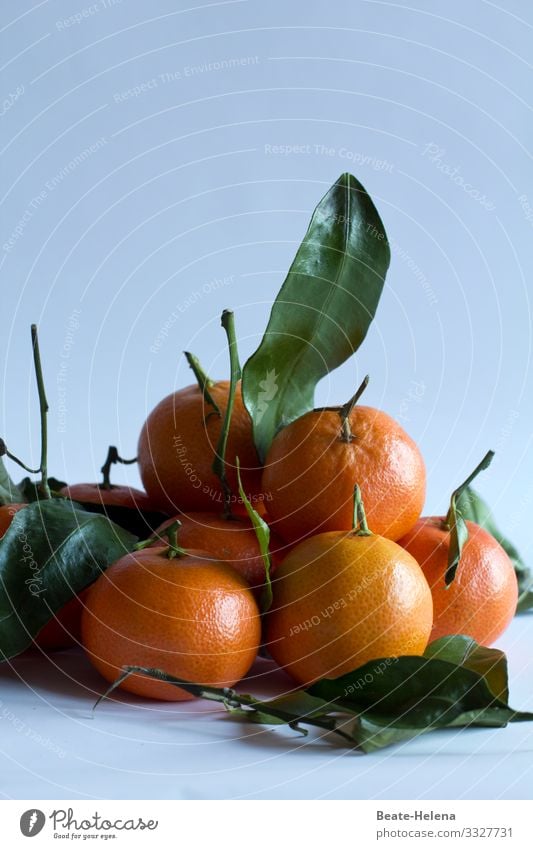 mandarins Food Fruit Orange Nutrition Organic produce Vegetarian diet Fasting Lifestyle Shopping Healthy Healthy Eating Work of art Nature Tree