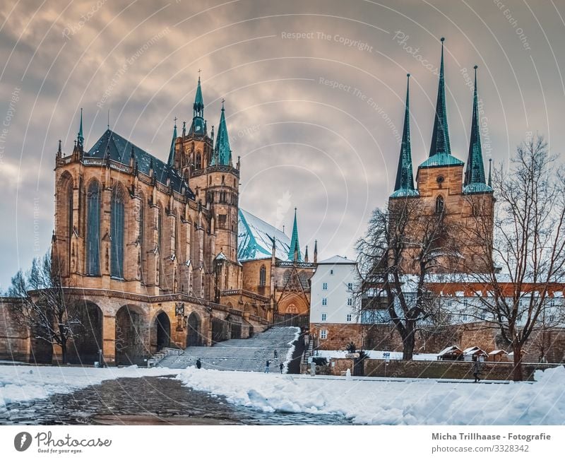 Erfurt Cathedral in winter Vacation & Travel Tourism City trip Winter Snow Germany Europe Town Downtown Church Dome Tower Manmade structures Architecture